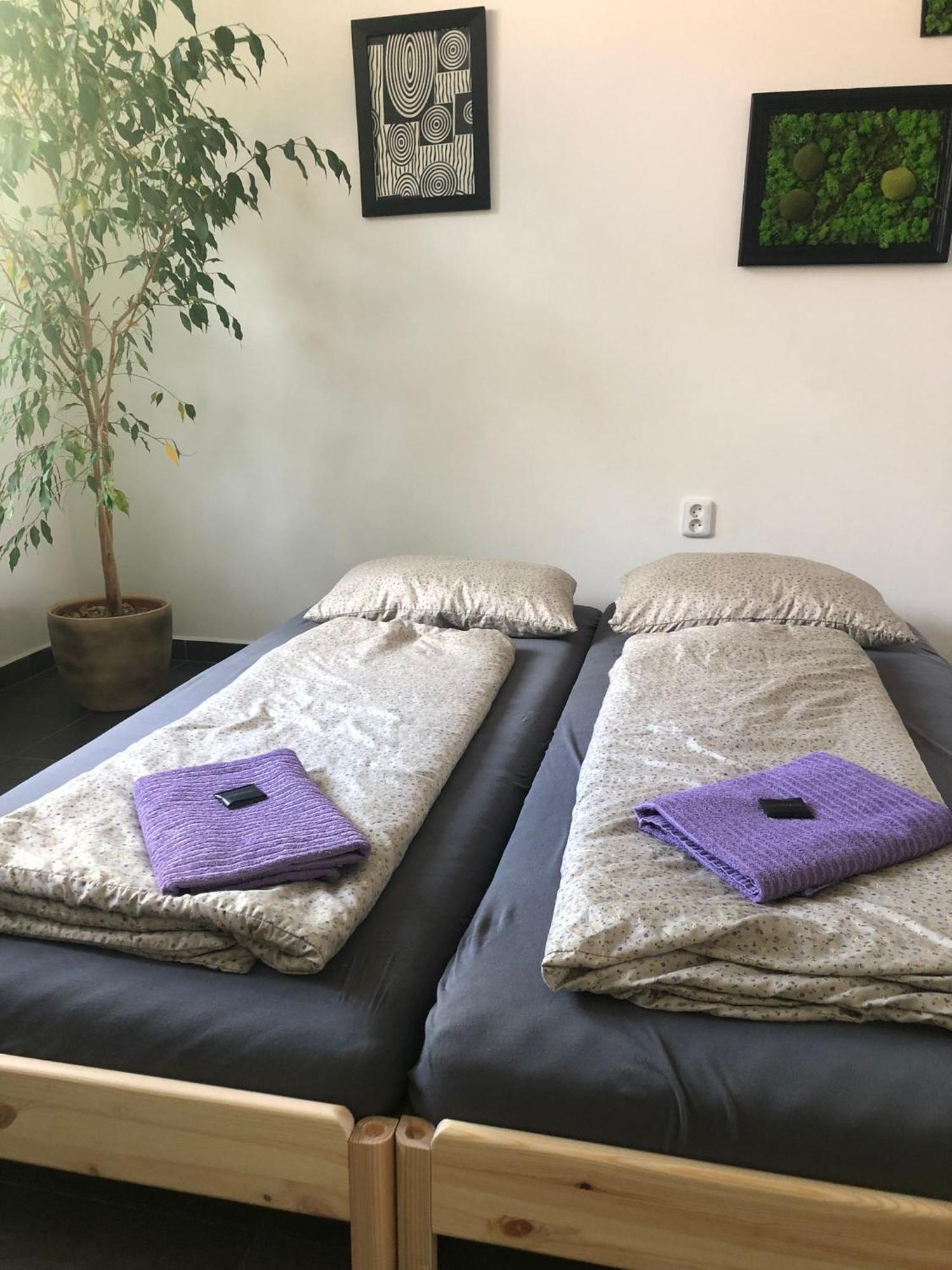 Apartman Wellness Veseli Veselí nad Moravou Extérieur photo
